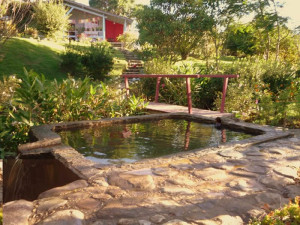nature-pool-green-stone-journeys-wellness-tours-brazil-visconde-maua